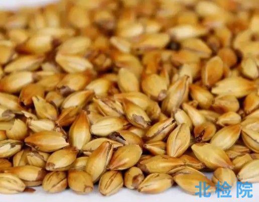 啤酒麥芽測(cè)試