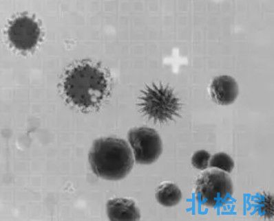 室內(nèi)空氣質(zhì)量測(cè)試