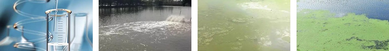 水質(zhì)測(cè)試
