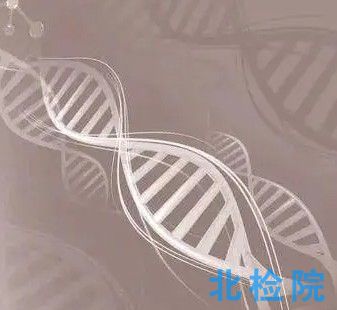 I型膠原蛋白植入劑測(cè)試