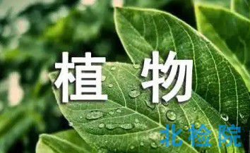 植物檢疫測(cè)試
