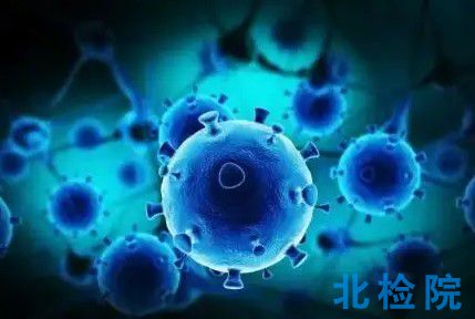 動(dòng)物臨床試驗(yàn)