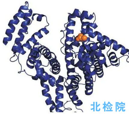 超微量蛋白檢測(cè)