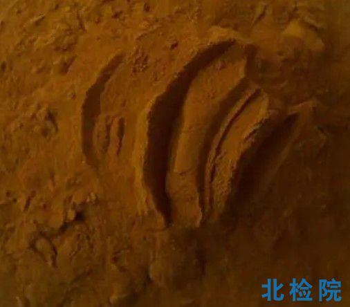 木質(zhì)素指標檢測